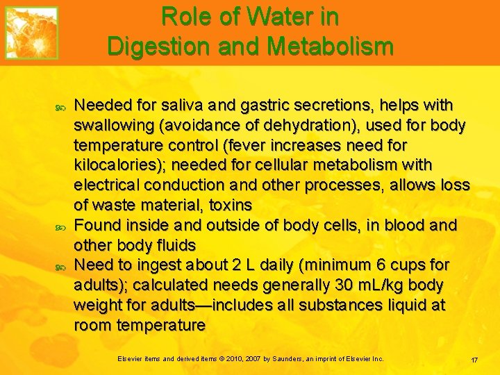 Role of Water in Digestion and Metabolism Needed for saliva and gastric secretions, helps