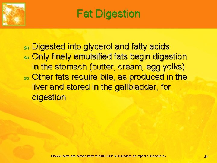 Fat Digestion Digested into glycerol and fatty acids Only finely emulsified fats begin digestion