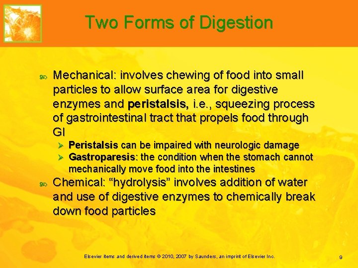 Chapter 4 Digestion Absorption and Metabolism in Health