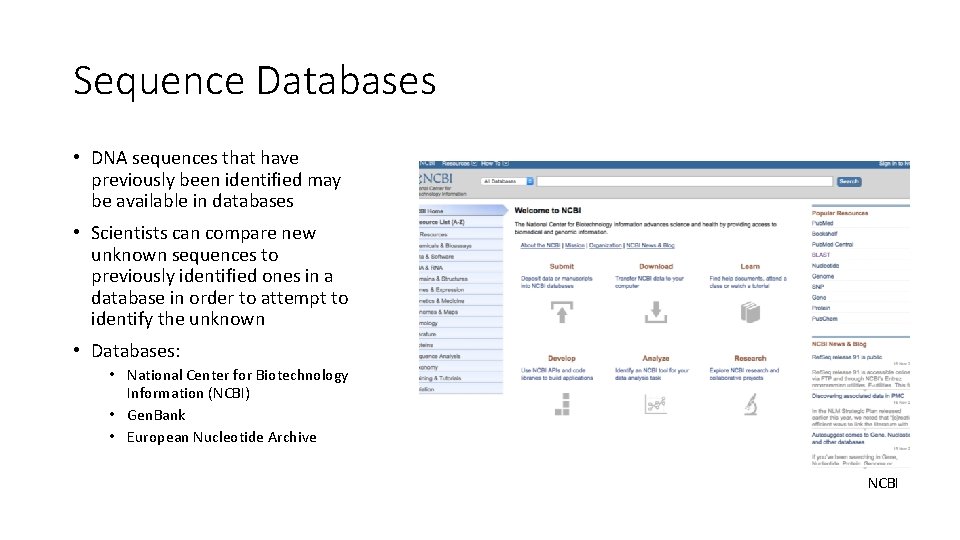 Sequence Databases • DNA sequences that have previously been identified may be available in