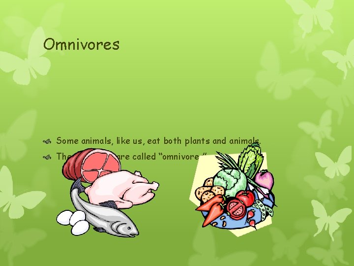 Omnivores Some animals, like us, eat both plants and animals. These animals are called