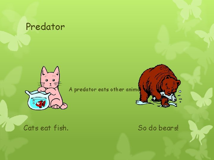 Predator A predator eats other animals. Cats eat fish. So do bears! 