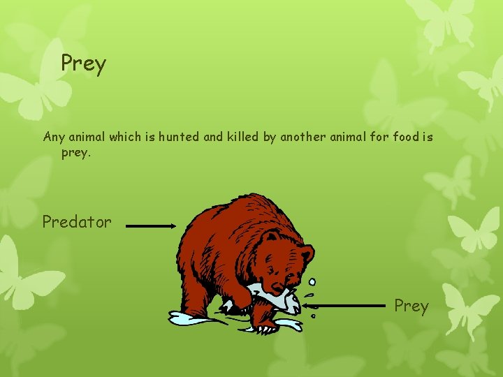 Prey Any animal which is hunted and killed by another animal for food is