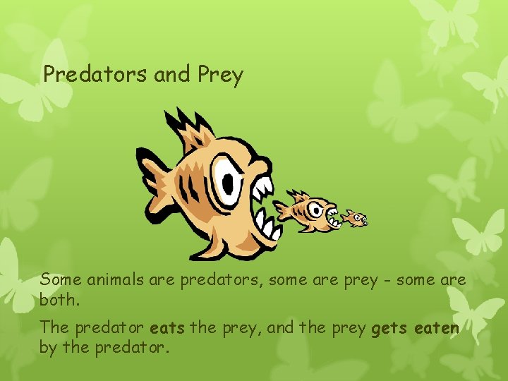 Predators and Prey Some animals are predators, some are prey - some are both.
