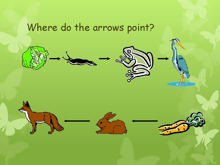 Where do the arrows point? 