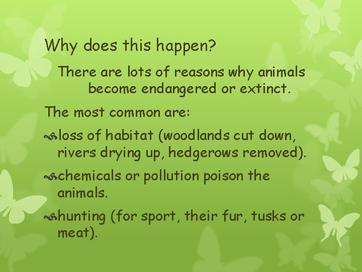 Why does this happen? There are lots of reasons why animals become endangered or