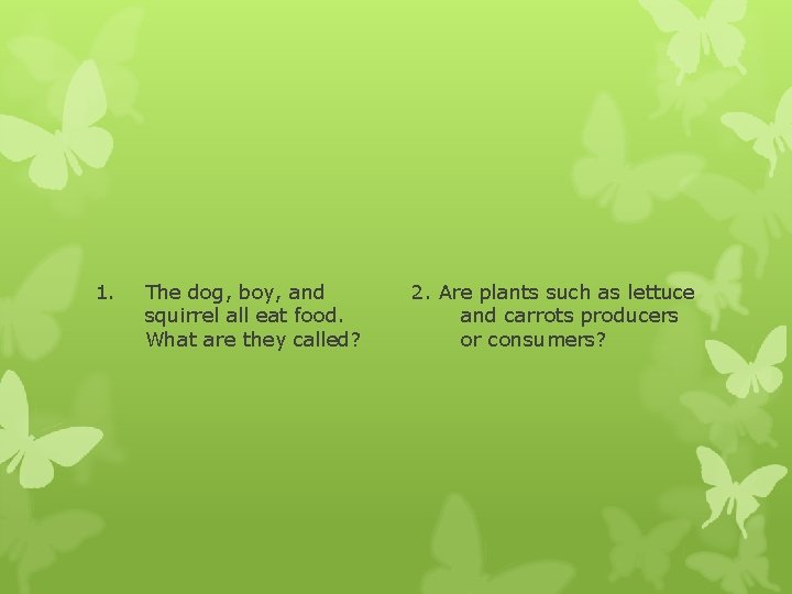 1. The dog, boy, and squirrel all eat food. What are they called? 2.