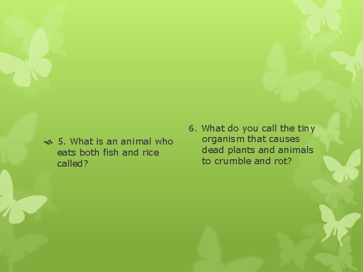  5. What is an animal who eats both fish and rice called? 6.