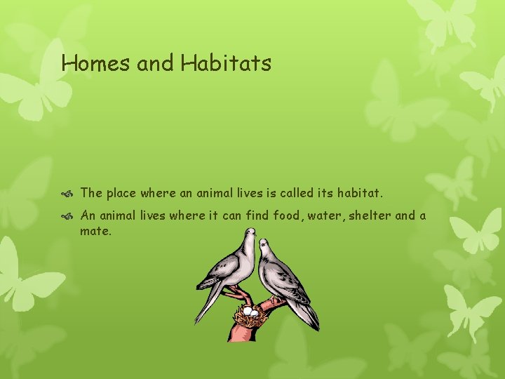 Homes and Habitats The place where an animal lives is called its habitat. An