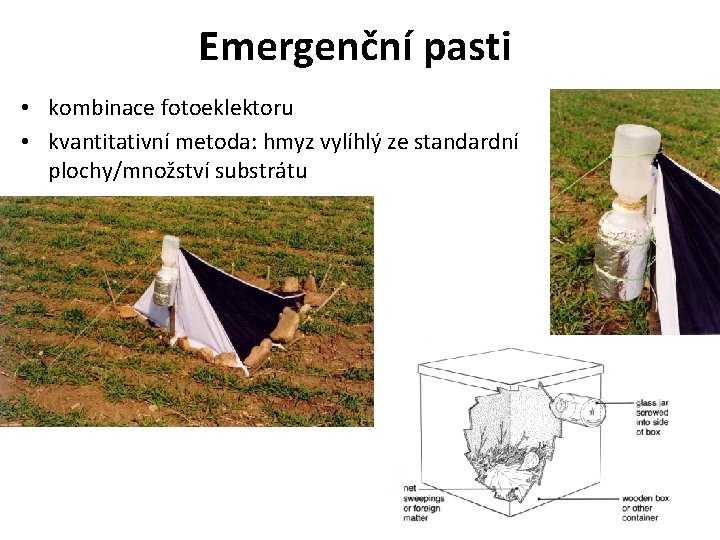 Emergenční pasti • kombinace fotoeklektoru • kvantitativní metoda: hmyz vylíhlý ze standardní plochy/množství substrátu