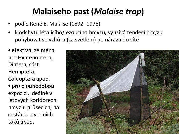 Malaiseho past (Malaise trap) • podle René E. Malaise (1892– 1978) • k odchytu