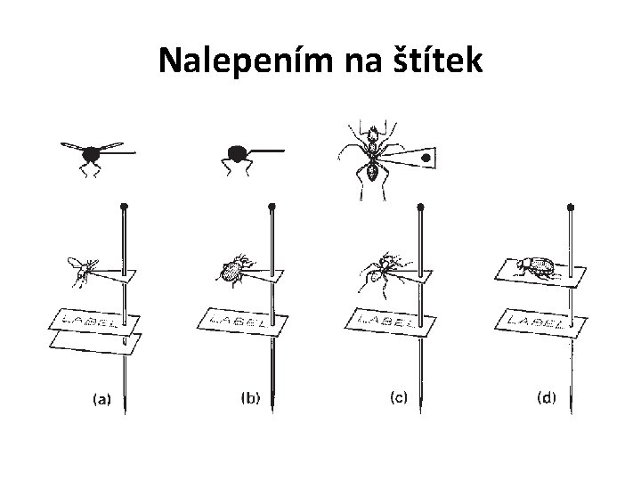 Nalepením na štítek 