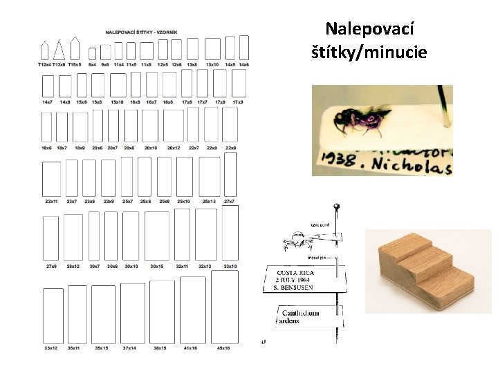 Nalepovací štítky/minucie 