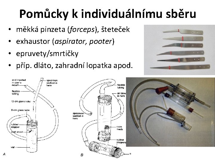 Pomůcky k individuálnímu sběru • • měkká pinzeta (forceps), šteteček exhaustor (aspirator, pooter) epruvety/smrtičky