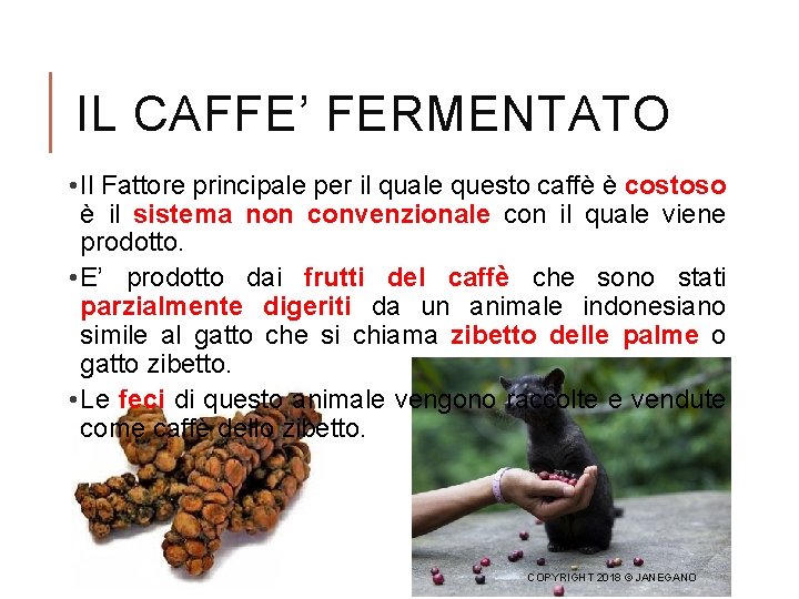 IL CAFFE’ FERMENTATO • Il Fattore principale per il quale questo caffè è costoso