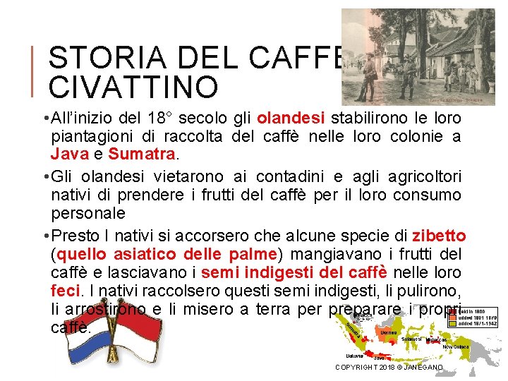 STORIA DEL CAFFE’ CIVATTINO • All’inizio del 18° secolo gli olandesi stabilirono le loro