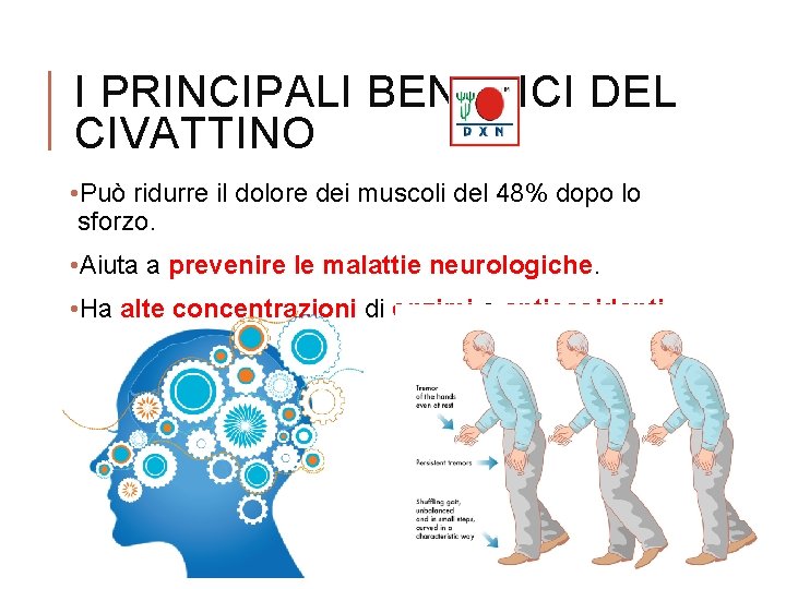 I PRINCIPALI BENEFICI DEL CIVATTINO • Può ridurre il dolore dei muscoli del 48%