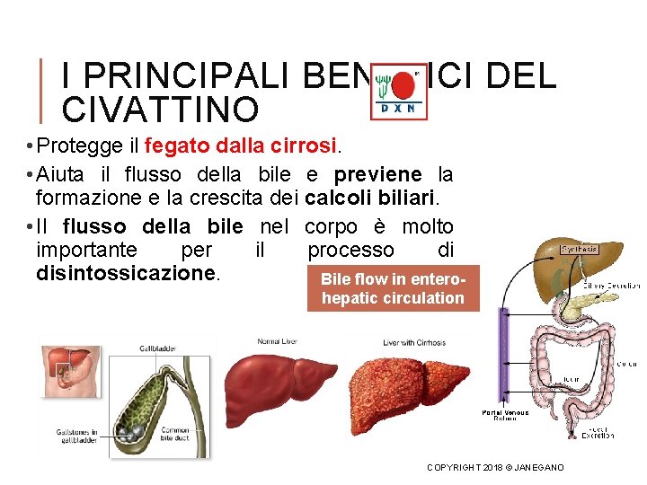 I PRINCIPALI BENEFICI DEL CIVATTINO • Protegge il fegato dalla cirrosi. • Aiuta il