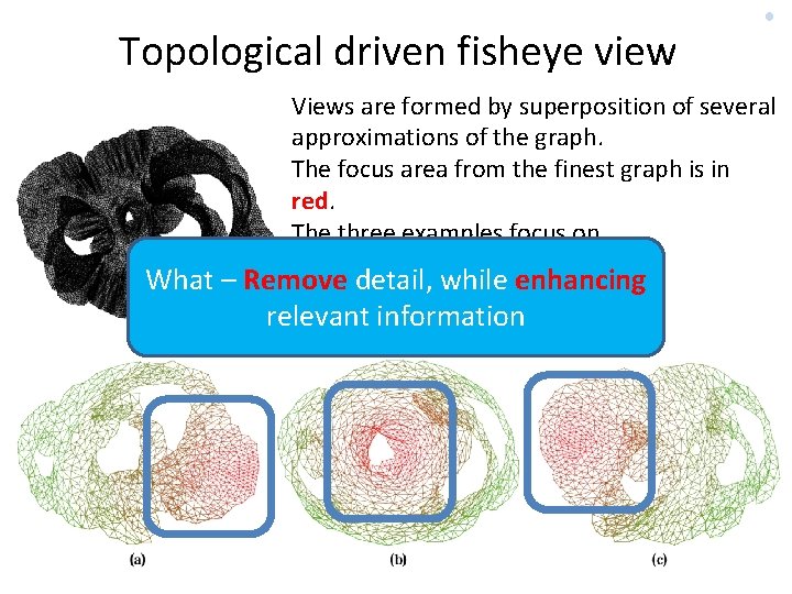 Topological driven fisheye view Views are formed by superposition of several approximations of the