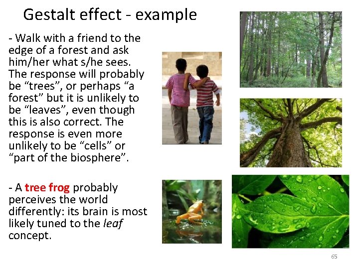 Gestalt effect - example - Walk with a friend to the edge of a