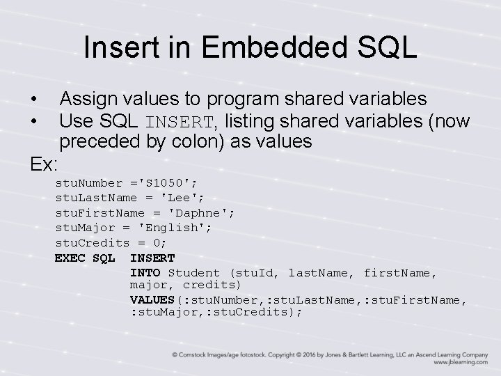 Insert in Embedded SQL • • Assign values to program shared variables Use SQL Insert in Embedded SQL • • Assign values to program shared variables Use SQL