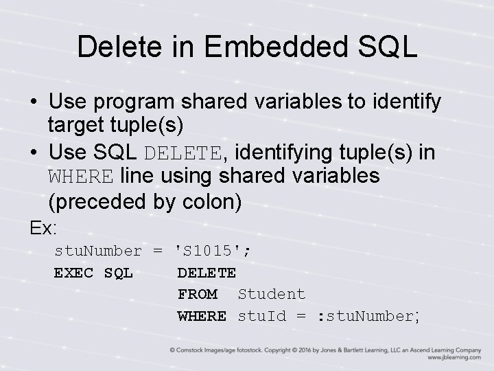 Delete in Embedded SQL • Use program shared variables to identify target tuple(s) • Delete in Embedded SQL • Use program shared variables to identify target tuple(s) •