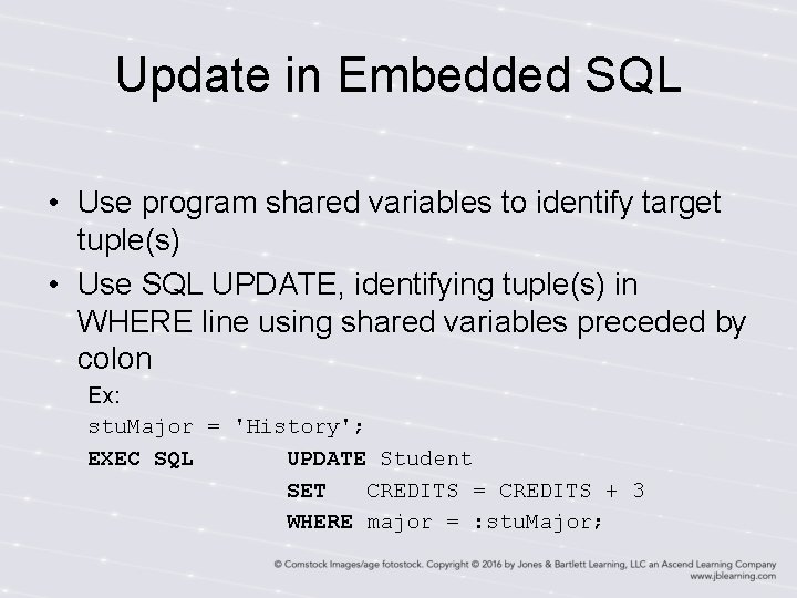 Update in Embedded SQL • Use program shared variables to identify target tuple(s) • Update in Embedded SQL • Use program shared variables to identify target tuple(s) •