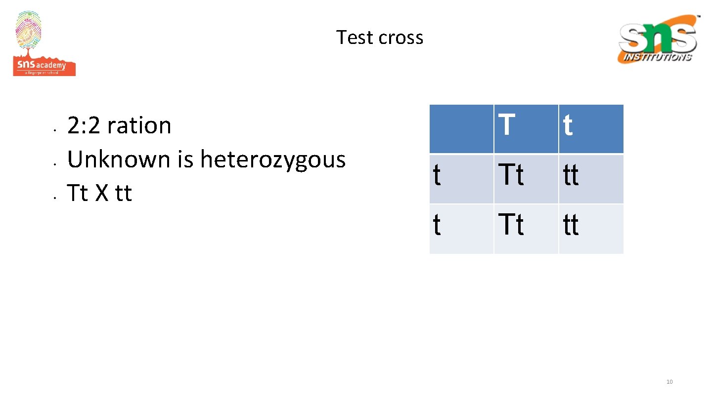 Test cross • • • 2: 2 ration Unknown is heterozygous Tt X tt
