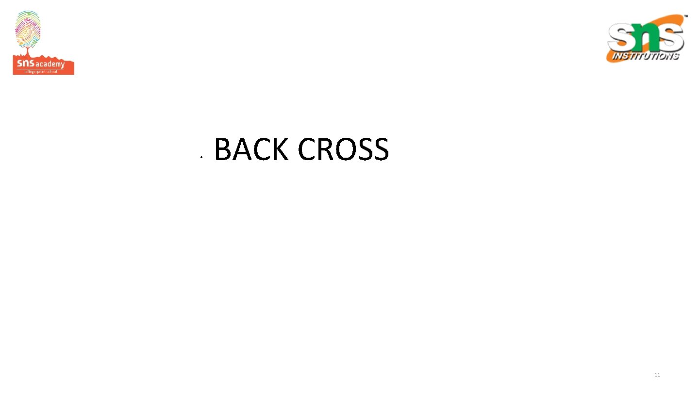  • BACK CROSS 11 