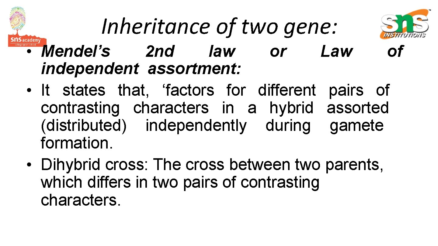 Inheritance of two gene: • Mendel’s 2 nd law or Law of independent assortment: