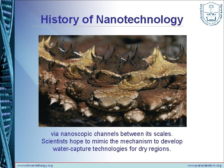 History of Nanotechnology via nanoscopic channels between its scales. Scientists hope to mimic the