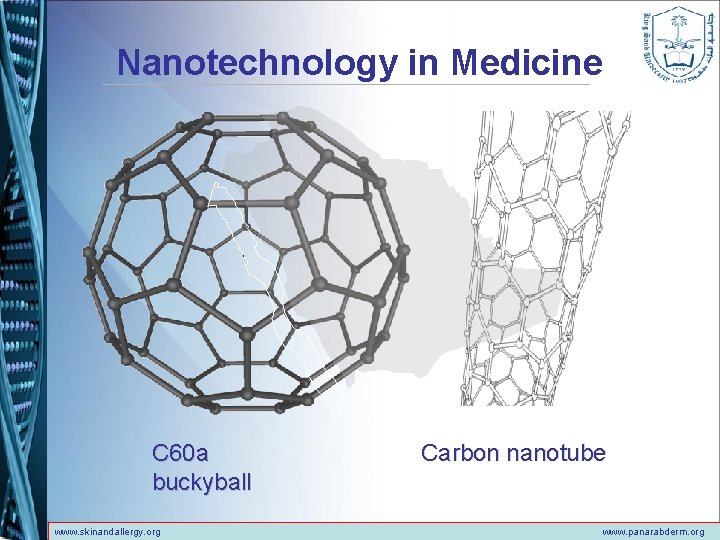 Nanotechnology in Medicine C 60 a buckyball www. skinandallergy. org Carbon nanotube www. panarabderm.