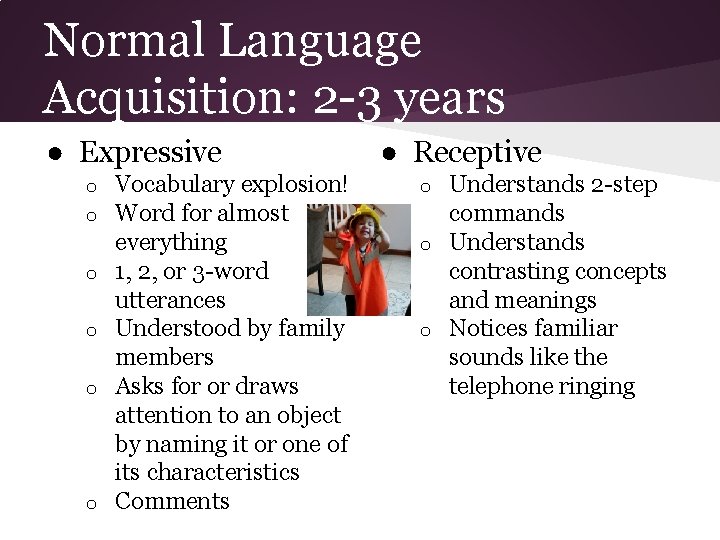 Normal Language Acquisition: 2 -3 years ● Expressive o o o Vocabulary explosion! Word