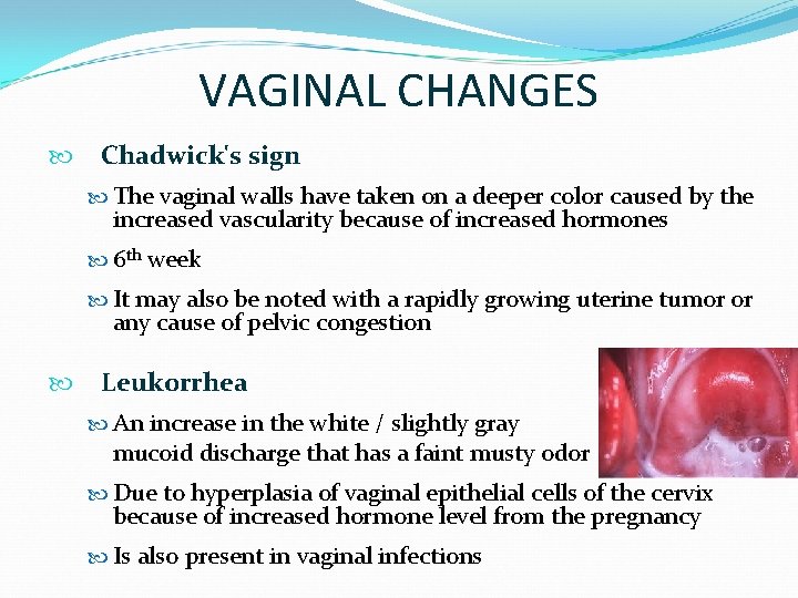VAGINAL CHANGES Chadwick's sign The vaginal walls have taken on a deeper color caused