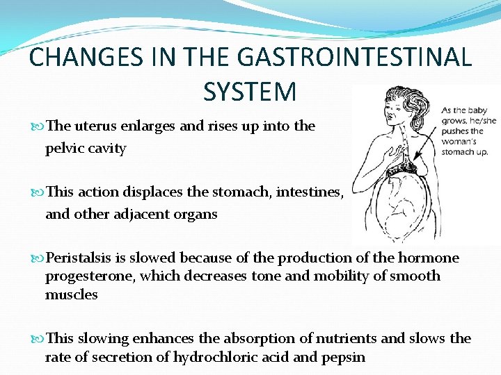 CHANGES IN THE GASTROINTESTINAL SYSTEM The uterus enlarges and rises up into the pelvic