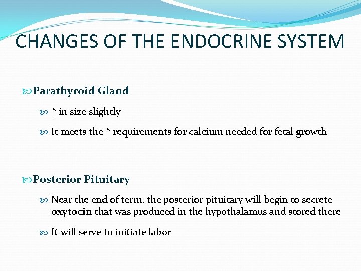 CHANGES OF THE ENDOCRINE SYSTEM Parathyroid Gland ↑ in size slightly It meets the