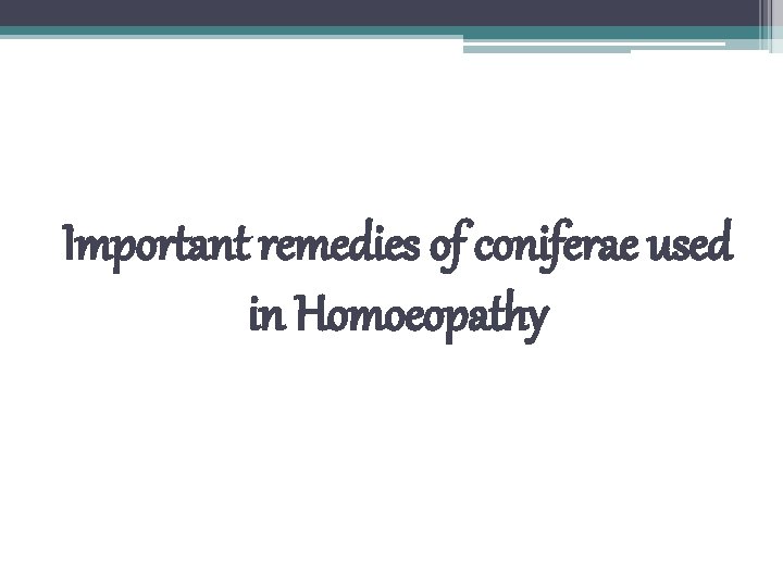 Important remedies of coniferae used in Homoeopathy 