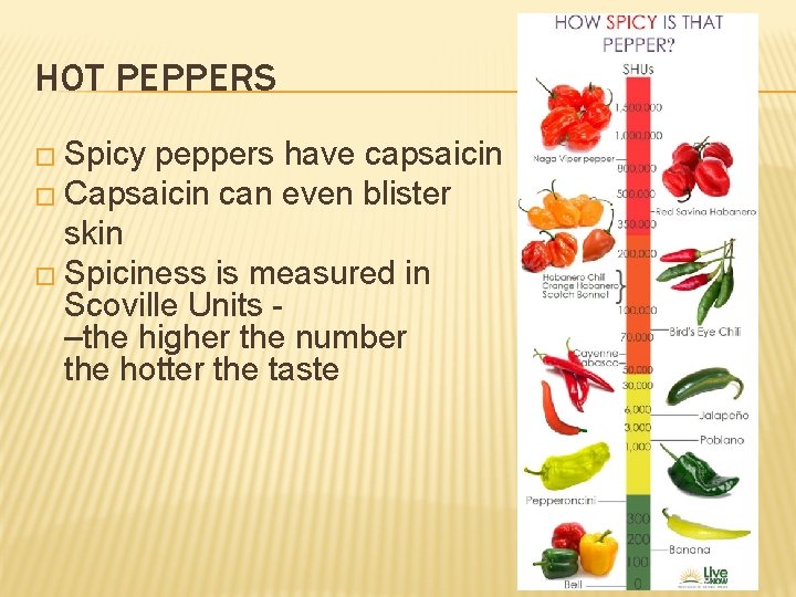 HOT PEPPERS � Spicy peppers have capsaicin � Capsaicin can even blister skin �