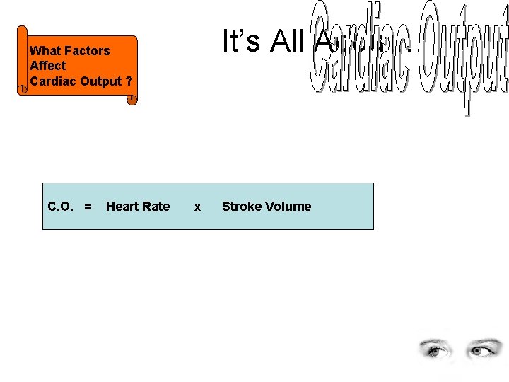 What Factors Affect Cardiac Output ? It’s All About… C. O. = Heart Rate