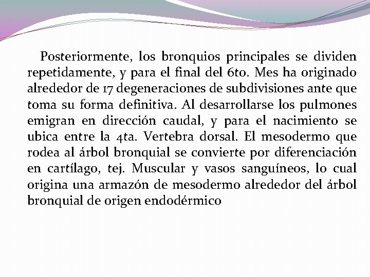 Posteriormente, los bronquios principales se dividen repetidamente, y para el final del 6 to. Posteriormente, los bronquios principales se dividen repetidamente, y para el final del 6 to.