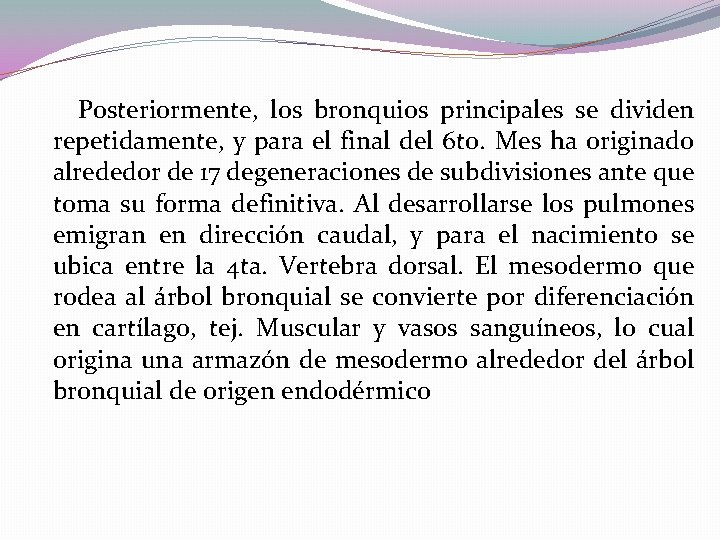 Posteriormente, los bronquios principales se dividen repetidamente, y para el final del 6 to.