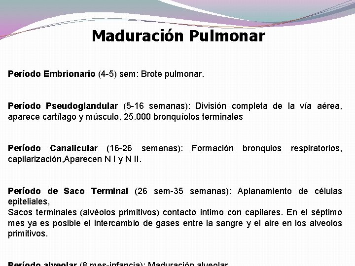 Maduración Pulmonar Período Embrionario (4 -5) sem: Brote pulmonar. Período Pseudoglandular (5 -16 semanas): Maduración Pulmonar Período Embrionario (4 -5) sem: Brote pulmonar. Período Pseudoglandular (5 -16 semanas):