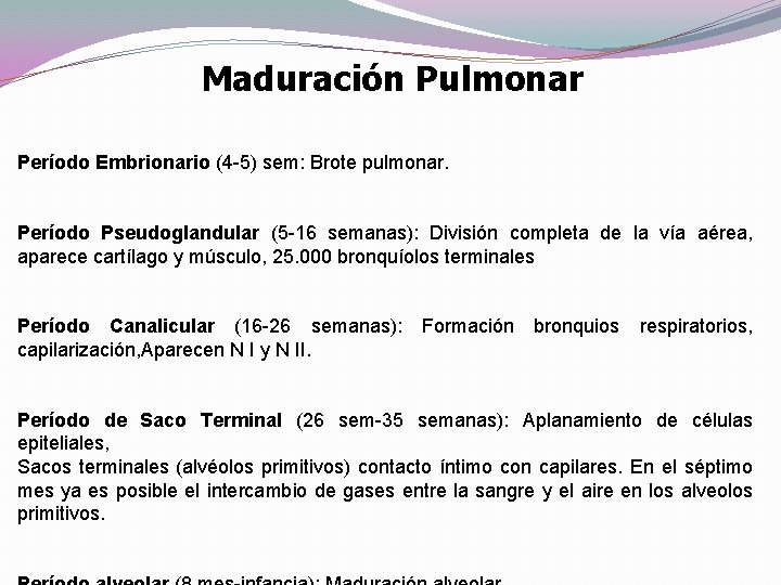 Maduración Pulmonar Período Embrionario (4 -5) sem: Brote pulmonar. Período Pseudoglandular (5 -16 semanas):