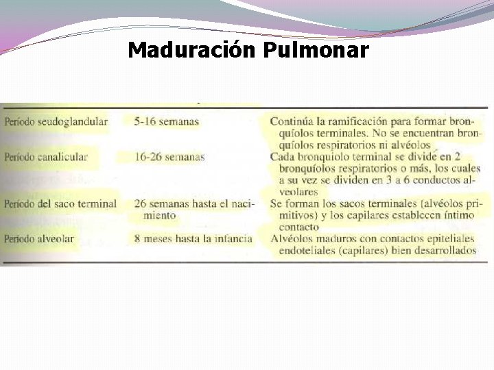 Maduración Pulmonar 