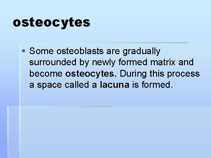 osteocytes § Some osteoblasts are gradually surrounded by newly formed matrix and become osteocytes.