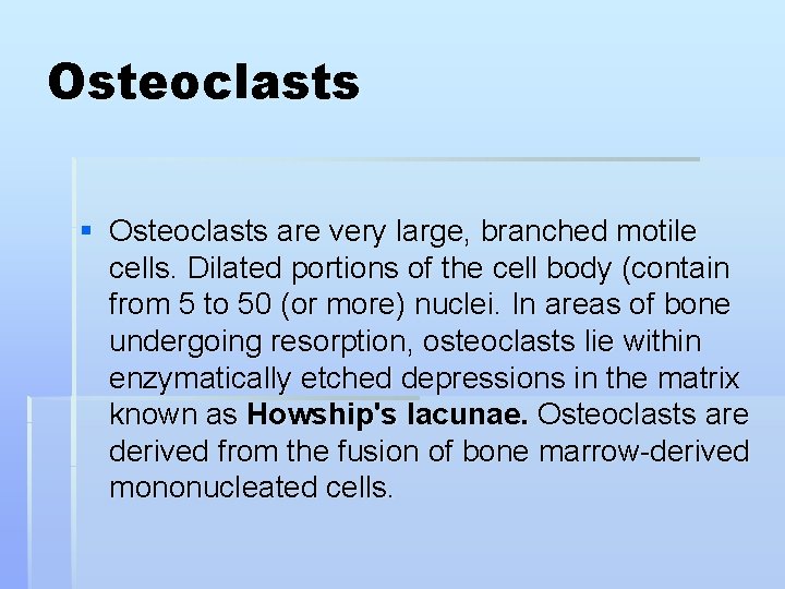 Osteoclasts § Osteoclasts are very large, branched motile cells. Dilated portions of the cell