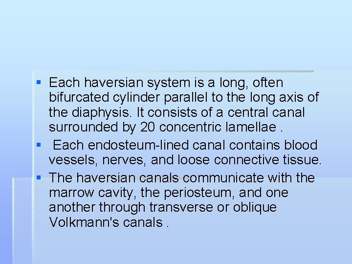 § Each haversian system is a long, often bifurcated cylinder parallel to the long