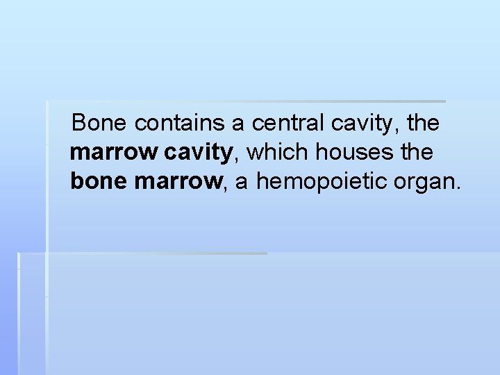 Bone contains a central cavity, the marrow cavity, which houses the bone marrow, a