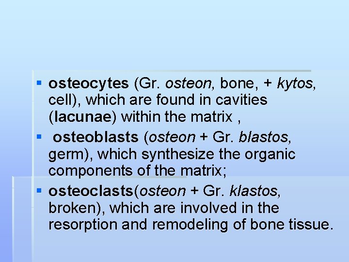 § osteocytes (Gr. osteon, bone, + kytos, cell), which are found in cavities (lacunae)