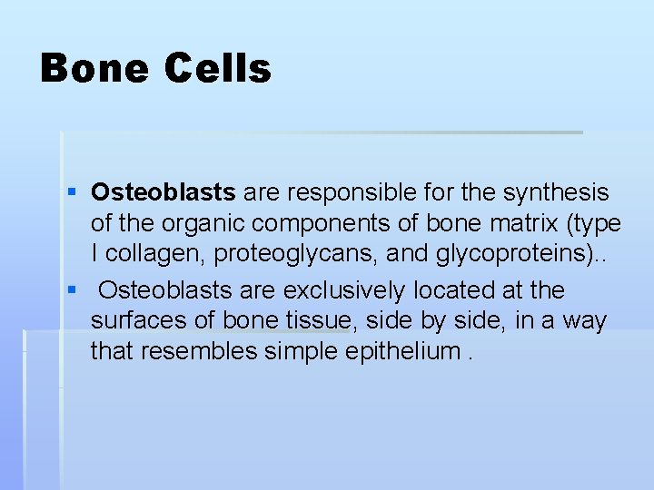 Bone Cells § Osteoblasts are responsible for the synthesis of the organic components of